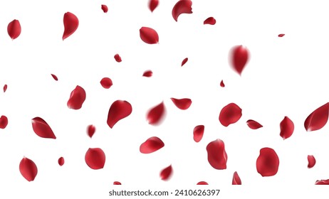 Valentine's day Vector red symbols of love border for romantic banner or Red rose petals will fall on abstract floral background with gorgeous rose greeting card design. on transparent background