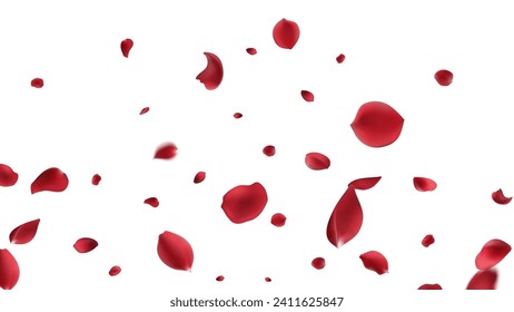 Valentine's day Vector red symbols of love border for romantic banner or Red rose petals will fall on abstract floral background with gorgeous rose greeting card design. on transparent background