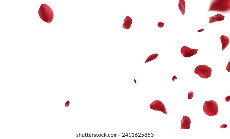 Valentine's day Vector red symbols of love border for romantic banner or Red rose petals will fall on abstract floral background with gorgeous rose greeting card design. on transparent background