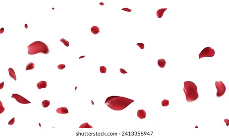 Valentine's day Vector red symbols of love border for romantic banner or Red rose petals will fall on abstract floral background with gorgeous rose greeting card design. on transparent background