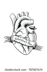 Valentine's Day vintage hand drawn.Vector illustration on white background.