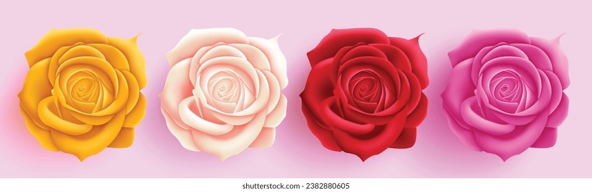 Valentins Blumenrose, Vektordesign. Valentinstag frische Rosenblumen für den Herztag, Jubiläum und Dekoration der Hochzeitselemente. Vektorgrafik blühende Rosensammlung.
