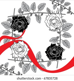 Valentine's Roses