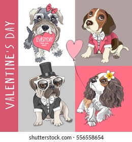 Valentine's set. Schnauzer in a bow with heart card. Pug and Beagle in a tuxedo with tie. Cavalier King Charles Spaniel with pink heart balloon. Vector illustration.