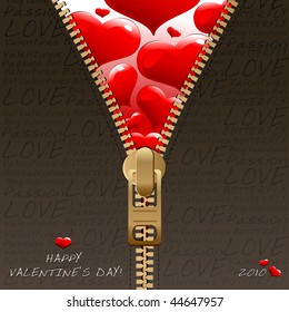 Valentine's zipper design