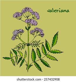 Valerian 