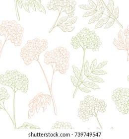 Valerian graphic color seamless pattern sketch illustration vector