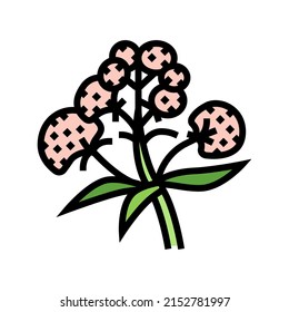 Valerian Medical Herb Color Icon Vector. Valerian Medical Herb Sign. Isolated Symbol Illustration