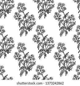 Valerian medicinal. Seamless pattern. Vector illustration.