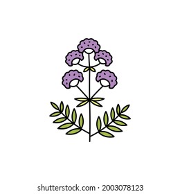 Valerian Olor Line Icon. Essential Oils. Pictogram For Web Page, Mobile App, Promo.