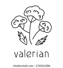 Valerian. Outline Icon Vector Illustration On White Background.