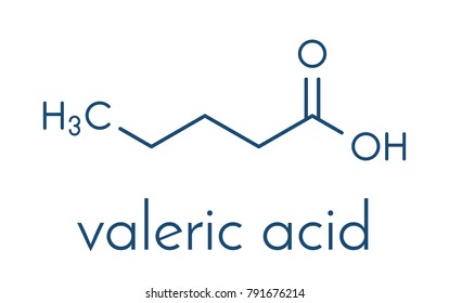 Valeric acid molecule. Smelly molecule, present in the plant valerian (Valeriana officinalis). Skeletal formula.