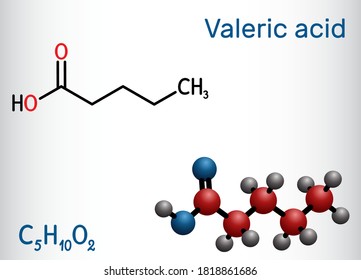 Valeric acid, pentanoic acid or valerate molecule. Structural chemical formula and molecule model. Vector illustration