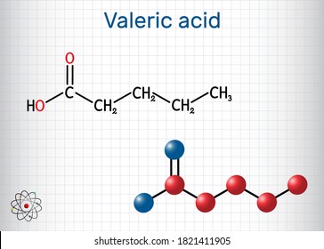Valeric acid, pentanoic acid or valerate molecule. Structural chemical formula and molecule model. Sheet of paper in a cage. Vector illustration