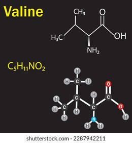 Valine amino acid  formula and structure. Chemical molecular formula.  Study content for science students. Vector illustration.