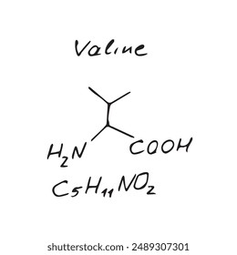 Fórmula molecular de valina C5H11NO2. Imitación dibujada a mano del modelo estructural de valina, fórmula esquelética de la química, símbolo del Vector esquemático
