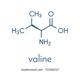 Valine (l-valine, Val, V) amino acid molecule. Skeletal formula.