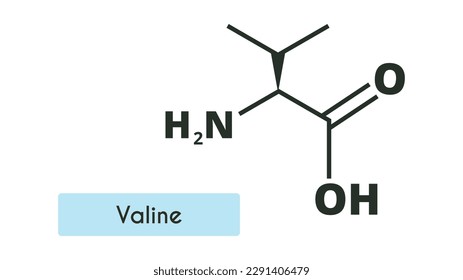 Valine Molecule Structure. (l-valine, Val, V). Skeletal formula. Amino acid.