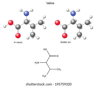 Valine (Val) - chemical structural formula and models, amino acid, in vacuo, zwitterion, 2D and 3D illustration, balls and sticks, isolated on white background, vector, eps8