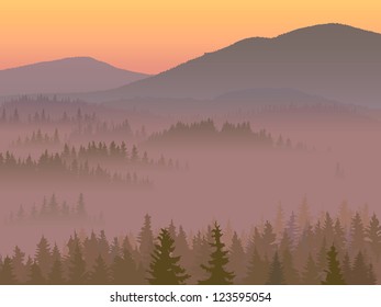Valley in the middle of coniferous wood in the morning fog.