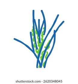 vallisneria spiralis doodle icon sketch vector. vallisneria spiralis sign. isolated symbol illustration