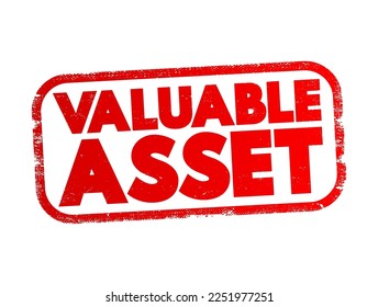 Valuable Asset - something that has significant worth or importance, either in a financial context or in terms of utility, effectiveness, or contribution, text concept stamp