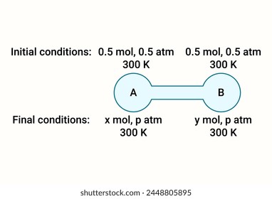 Values of Initial conditions and final conditions