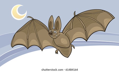 vampire bat