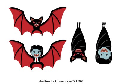 Vampire bat and Dracula on white, vector cartoon design