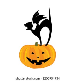 Vampire cat and Halloween pumpkin