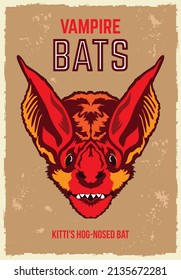 Vampire cats vector illustration in retro vintage poster style, perfect for tshirt design and wall decor