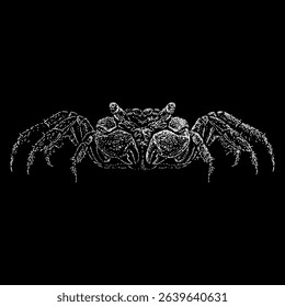 Vampire Crab hand drawing vector isolated on black background.