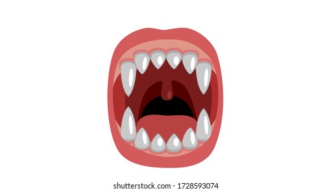 Vampire fangs. Canines isolated on white background. Vector.