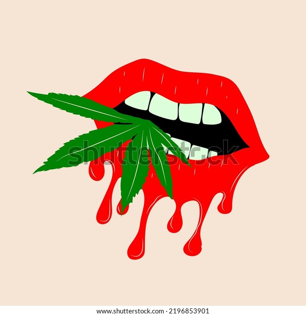 Vampire Mouth Cannabis Leaf Isolated On Stock Vector (royalty Free 