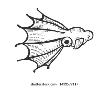 Vampire squid sea water animal sketch engraving vector illustration. Scratch board style imitation. Black and white hand drawn image.