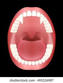 Vampire teeth - open mouth - vector illustration on black background.