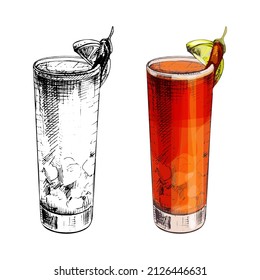 Vampiro pepper cocktail with cherry and slice orange. Vector vintage hatching color illustration. Isolated on white background. Hand drawn design