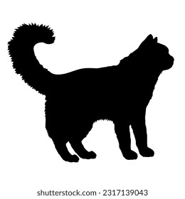 Vector de gatos de silueta de gato de Van cat