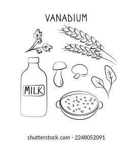 Vanadium-containing food. Groups of healthy products containing vitamins and minerals. Set of fruits, vegetables, meats, fish and dairy.