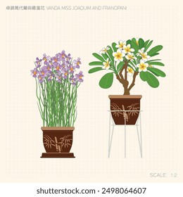 Vanda Miss Joaquim and Frangipani Line Drawing. Translation: (Chinese) Potted Vanda Miss Joaquim and Frangipani