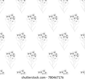 Vanda Miss Joaquim Orchid Seamless on White Background. Vector Illustration. Singapore National Flower.