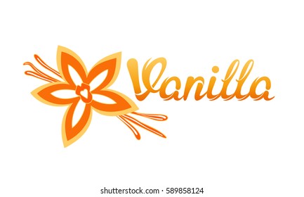 Vanilla