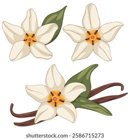 Vanilla Bean Aromatic Additive Concept for Design
