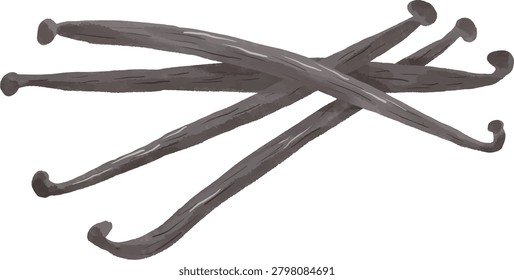 Vanilla bean pods group vector illustration with thick outline. Isolated watercolor style hand drawn doodle of aromatic vanilla sticks for baking, pastry dessert, gourmet flavor, and culinary design element.