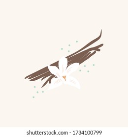 Granos de vainilla e ilustración plana de flores