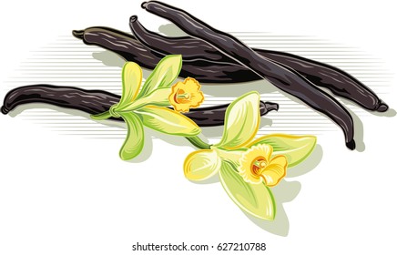 vanilla beans and flowers.
