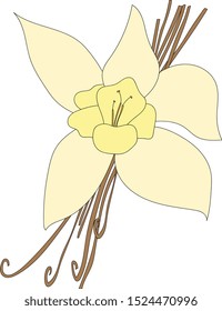 Vanilla beans and orchid flower.