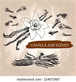 Vanilla and cloves. Set of hand drawn illustrations