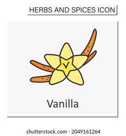 Vanilla color icon. Additional flavor for food. Vanilla plant for food preparation. Culinary. Herbs and spices concept. Isolated vector illustration