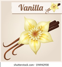 Vanilla. Detailed Vector Icon. Series of food and drink and ingredients for cooking.